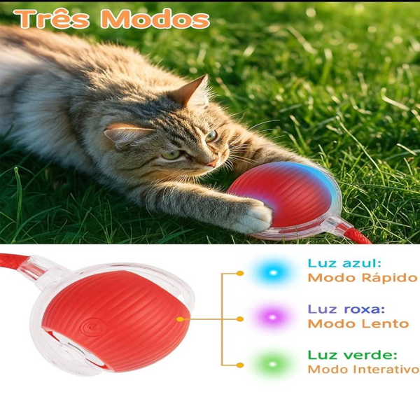 Interactive Toy Ball for Cats.