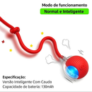 Interactive Toy Ball for Cats.